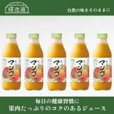 「身体に優しい」順造選ジュース　南国の味マンゴ　500ml×５本セット