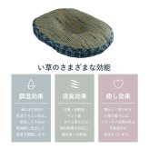 クッション 円座 楕円形 い草 チェック柄 調湿 空気清浄 お手入れ簡単 約45×35×4cm