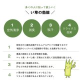枕 まくら い草 高さが調整できる さらさら 消臭 シンプル 無地 角枕 約30×15cm さらさらい草まくら ピロー 枕寝具 寝具用品 寝室用 寝室用品 インテリア 汚れにくい 吸湿 ナチュラル グリーン ブルー