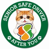 カーサイン 高齢者マーク SENIOR SAFE DRIVER エキゾチックショートヘア マグネット 強力 直径13cm 肉球 日本製 車 ステッカー