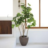 観葉植物 造花 ヤツデ BROWN 全高約190cm 大型 フェイクグリーン 高級 本物そっくり リアル おしゃれ 和風 和モダン インテリア 人工観葉植物 アーティフィシャルグリーン オフィス 店舗 ホテル 旅館 開店祝い 室内 リビング 玄関 庭木 八つ手