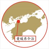 今治プリマクラッセ タオルケット 寝具 コットン 綿100％ 涼感タオルケット【北海道・沖縄県・離島 配送不可】