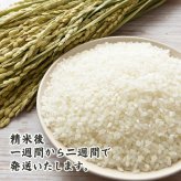 北海道産 ゆめぴりか【白米/無洗米と内容量が選べる5kg~30kg】雑穀米本舗  北海道 選べる 白米 無洗米 令和8年産 単一原料米 送料無料 精米工場からの直送品