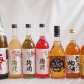 豪華梅酒7本セット(おばあちゃんの梅酒 芋焼酎仕込五代梅酒(鹿児島) 青梅使用小正の梅酒(鹿児島) 赤しそ赤い梅酒(和歌山) 芳醇ブランデー仕立チョーヤ梅酒 蜂蜜梅酒(和歌山) 緑茶梅酒(和歌山)) 720ml×6本 1800ml×1本