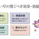 夏ラグ 夏用カーペット 純国産 い草 上敷き カーペット 麻綿織 『清正』 江戸間8畳(約352×352cm） 熊本県八代産イ草使用