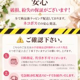キッズ パールネックレス カジュアル 子供用 6mm 貝パール 31～36cm アジャスター付き 女の子 子供 ネックレス 真珠 フォーマル ドレス 発表会 ピアノ発表会 入学式 卒業式 入園式 卒園式 七五三 結婚式 お呼ばれ 小学生 中学生 ジュニア ギフト プレゼント 誕生日プレゼント クリスマス 親子 お揃い 親子コーデ 送料無料 普段使い おしゃれ 上品 かわいい 大人 レディース