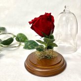 【天然ダイヤモンドの輝き】プリザーブドフラワー バラ 薔薇 ガラスドーム 2色 赤 青 ダイヤモンドローズ 花 ギフト プロポーズ 結婚式 記念日 誕生日 プレゼント 女性 妻 彼女 美女と野獣 サムシングブルー アモローサ 還暦祝い 退職祝い お祝い インテリア オブジェ Lulu＊s ルルズ