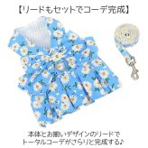 ハーネス 小型犬 可愛い 通販 ドレス 犬ドレス 猫 ペット服 犬服 犬の服 ペットウェア ドッグウェア 上品 リボン お姫様 プリンセス 豪華 華やか 犬 いぬ ペット ペットグッズ お散歩 散歩 お出かけ おでかけ かわいい おしゃれ オシャレ