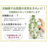 仏花 造花 「あすか」お供え お悔やみ 花 仏壇 仏壇用 光触媒 お彼岸 初盆 お盆 新盆 おしゃれ お洒落 人気 贈り物
