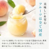 国産果汁使用 凍らせて食べる 6種のフルーツ ソルベセット もも りんご みかん じゃばら ゆず スチューベン ぶどう ゼリー シャーベット デザート ギフト プレゼント 内祝い お返し 贈り物 人気 おしゃれ 定番ギフト