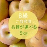 予約販売 訳あり 梨 千葉県市川産 いちかわの梨 5kg 幸水 豊水 秋月 B級品 自宅用 家庭用 和梨 なし フルーツ 果物 旬の味覚 お取り寄せ グルメ お盆 暑中見舞い 残暑見舞い
