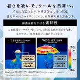 IZA ZA018 超軽量 ULTRA LIGHT ウルトラライトミニ 折り畳み傘 傘 晴雨兼用 定形外 送料無料 日傘 遮熱 雨傘 UVカット100% 完全遮光  ZA018-001-102 メンズ ユニセックス レディース