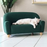 ペットソファ キッズソファ 幅83cm 撥水 日本製 Petit 2人掛け クエラ ペット用ソファ キッズチェア ローソファ コンパクトソファ 子供用椅子 猫 犬 撥水生地 傷に強い ペット家具 猫用品 犬用品 省スペース リビング インテリア おしゃれ