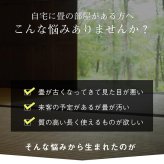 夏ラグ 夏用カーペット 純国産 い草 上敷き はっ水 カーペット 双目織 三六間2畳(約182×182cm）