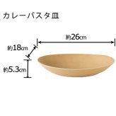 earth color バルセット40　IV