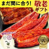 【まだ間に合う】 敬老の日 すぐ贈れるギフト 即日発送 うなぎ 国産 【浜松 浜名湖 うなぎのたなか】 誕生日 プレゼント ギフト 鰻 うなぎのたなか 蒲焼き 誕生日プレゼント グルメギフト 送料無料  お祝い グルメ 人気 内祝い ご褒美 90～110g 2本～6本 土用の丑 海鮮 食べ物 おつまみ 高級 簡易箱 化粧箱 風呂敷 1～6人前 40代 50代 60代 70代 80代