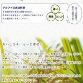 お赤飯 20箱セット アルファー食品 国産もち米100% 炊飯器で簡単 お祝い 贈り物 ギフト 内祝い 記念日 備蓄食 非常食 保存食 小豆 赤飯 炊き込みご飯 2人前×20