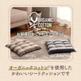 チェア 椅子 クッション シート 日本製 オーガニックコットン 綿100% ボーダー 洗える 約43×43cm