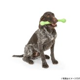 West Paw ウェストポウ ゾゴフレックス・エコー ズイッグ 犬用おもちゃ L ホットピンク