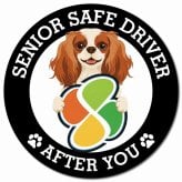カーサイン 高齢者マーク SENIOR SAFE DRIVER キャバリアキングチャールズスパニエル マグネット 強力 直径13cm 肉球 日本製 車 ステッカー