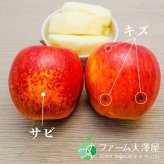 養田さんのはねだしりんご　シナノドルチェ　サビ・キズあり　家庭用　約5kg　8-23玉　長野県志賀高原産