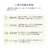 夏ラグ 夏用カーペット ラグ 正方形 い草 自然素材 シンプル ボーダー 裏面すべり止め付き 滑りにくい 抗菌防臭 約4.5畳 約240×240cm