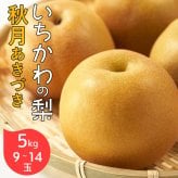 予約販売 いちかわの梨 秋月 5kg 9～14玉 千葉県市川産 梨 なし 和梨 フルーツ 果物 ギフト 贈答用 お中元 暑中見舞い 残暑見舞い お盆 お供え 高級フルーツ 旬の味覚