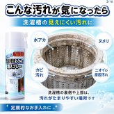 らくらく洗濯槽まるごと泡スプレー 220ml 縦型洗濯機用 洗濯槽クリーナー 日本製