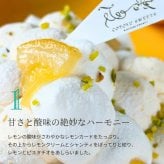誕生日プレート付き 送料無料 爽やかレモンタルト12㎝ 2名〜3名様用 パーティー 大人 子供 記念日 お祝い 内祝 出産祝 お礼 お返し 人気 お取り寄せ お菓子 ケーキ 送料無料 翌日お届け お取り寄せスイーツ TVで紹介 熨斗対応 パーソナルラッピング対応 詰め合わせ 高級 おしゃれ 可愛い 冷凍発送