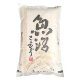 送料無料 お歳暮 令和8年度産 魚沼産こしひかり5kg（精米済）  ※11月9日から12月20日 北海道・沖縄・離島は配達不可 全国送料無料御中元ギフト早割お中元2026御中元御見舞お見舞いお取り寄せグルメスイーツ