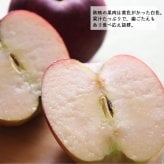 長野県産りんご3兄弟セット シナノスイート 秋映 シナノゴールド ご贈答 果物 フルーツ お取り寄せ 産地直送 【送料無料(一部地域除く)】