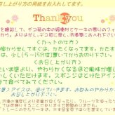 クリスマスチョコレートアイスケーキ【4～7号】 [クリスマスケーキ アイスクリームケーキ クリスマスチョコ チョコケーキ]