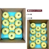 糖度12度保証 長野県産りんご シナノゴールド 秀品 ご贈答 果物 フルーツ お取り寄せ 産地直送 【送料無料(一部地域除く)】
