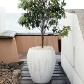 植木鉢 おしゃれ 大型 19号 13号 丸 ラウンド 縦長 ホワイトウォッシュ セメント KONTON コーテス ジャー ホワイトウォッシュ ファイバーセメント 軽量 底穴あり 屋外 M L ホワイトウォッシュ 観葉植物 シンボルツリー 北欧 モダン ナチュラル インテリア