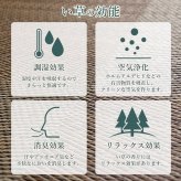 置き畳 ユニット畳 システム畳 国産 日本製 ナチュラルスタイル い草 消臭 抗菌防臭 市松 約82×82×2.3cm 2P 同色2枚組