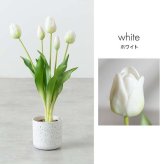 【高さ40cm】光触媒人工観葉植物 チューリップ 幅18cm×奥行18cm×高さ40cm お部屋に気軽に飾れて空間を美しく彩るフェイクグリーン 本物の生花のようなリアルな質感とインテリアに馴染む風合いが魅力です ホワイト ピンク オレンジ
