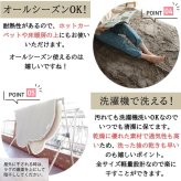 ラグ カーペット ハート 楕円 かわいい ライトグレー 洗える すべり止め オールシーズン ウレタン 抗菌防臭効果 おしゃれ シンプル レトロ モダン ホット 床暖房対応 新生活