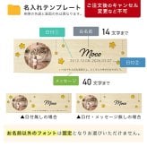  遺毛ケース 桐 写真入り ペット 毛 ひげ 髭 ヒゲ 犬 猫 鳥 ハムスター うさぎ 名入れ フルカラー メモリアルケース メッセージ 愛犬 愛猫