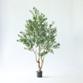 観葉植物 造花 オリーブ BROWN 全高約230cm 大型 古木風 フェイクグリーン 高級 本物そっくり リアル おしゃれ インテリア 人工観葉植物 アーティフィシャルグリーン シンボルツリー オフィス 店舗 ホテル カフェ 開店祝い 室内 リビング 玄関 風水 オリーブの木