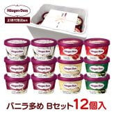 敬老の日 お中元 残暑見舞い アイス ギフト対応 【正規代理店】 ハーゲンダッツ ミニカップ12個入 Bセット 定番フレーバー5種
