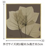 X RAY キャンバスアート リーフ ブラウン3 スクエアS XR-05812 送料無料 アートフレーム 葉っぱ 葉 X線 絵画 アート アートフレーム インテリア