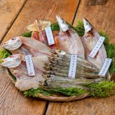 山陰近海干物詰合せ  ／魚介類・水産加工品 食品 敬老の日 プレゼント ギフト お彼岸 お供え 秋 送料無料 取り寄せ グルメ 産地直送 センター スイーツ お菓子 高級 ご飯 食品 飲料 おかず つまみ おやつ