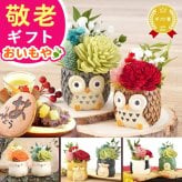 敬老の日 即日発送 誕生日 プレゼント 花 ギフト プリザーブドフラワー アニマル 動物 ペア ミニ 小さい かわいい おしゃれ ふくろう 犬 猫 バラ 薔薇 一輪 セット どら焼き どらやき 送料無料 スイーツ お菓子 和菓子 ギフトセット 母 実母 自分の母 義母 妻 40代 50代 60代 70代 花セット 花とお菓子 おいもや 誕生日期間 翌日配送 不可