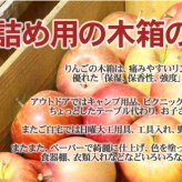木箱2箱 りんご 箱 りんご箱 アンティーク 収納ボックス DIY 送料無料 20kg入用×2箱（木箱のみ） ※沖縄送料別途加算 男前インテリア ポイント消化