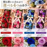 ソープフラワー カヌレ ロングボックス レッド ピンク ブルー ラベンダー 石鹸の香り 枯れない花 ギフト プレゼント 誕生日 結婚祝い 退職祝い 新築祝い 開店祝い 還暦祝い 内祝い 御礼 女性 母 妻 観賞用 グリーン アムール・デ・フルール
