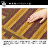 夏ラグ 夏用カーペット 純国産 柳川段通 四重織 い草ラグカーペット 『ラスター』 約191×191cm 新生活