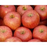 【11月中旬頃発送】一華ベジフル 青森 リンゴ サンふじ 家庭用 3C箱(3kg箱:約7～10個入) りんご 青森県産 蜜入り リンゴ 林檎 りんごジュース ギフト 御歳暮 お歳暮 フルーツ 果物 青森県 お土産 お取り寄せ 販売 通販 2026 訳あり【送料無料】