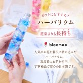 ハーバリウム 送料無料 土日発送OK ギフトボックス 誕生日プレゼント かわいい フラワーギフト プチギフト インテリア 雑貨 飾り お祝い お祝 御祝 御祝い お歳暮 お歳暮ギフト バースデー フラワー お花 生花 花束 誕生日 記念日 結婚記念日 恋人 女性 父 内祝い