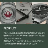 オリス ORIS プロパイロット デイト PROPILOT DATE 腕時計 メンズ 自動巻き 01 733 7805 4167-07 8 20 04LC【2025 新作】