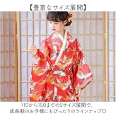 和柄 ワンピース 子供 通販 キッズドレス 女の子ワンピース 着物ドレス 浴衣ワンピース 和風コスチューム コスプレ衣装 ハロウィン仮装 イベント衣装 プリンセスドレス おしゃれ お正月子ども 発表会ドレス 和柄ワンピース ステージ衣装 かわいい ジュニア